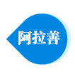阿拉善
