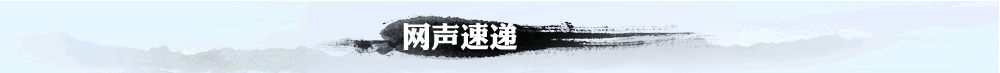 网声速递