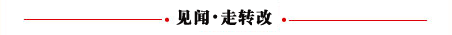 见闻 走转改