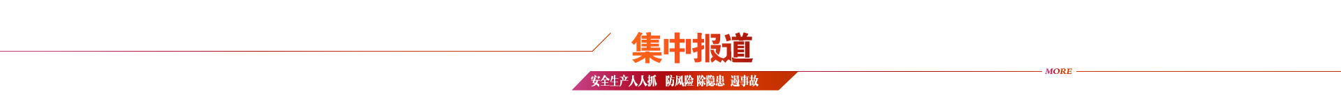 集中报道