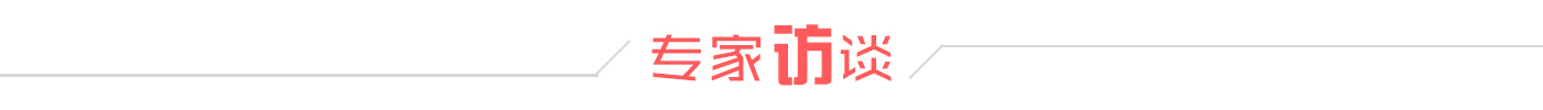 专家访谈